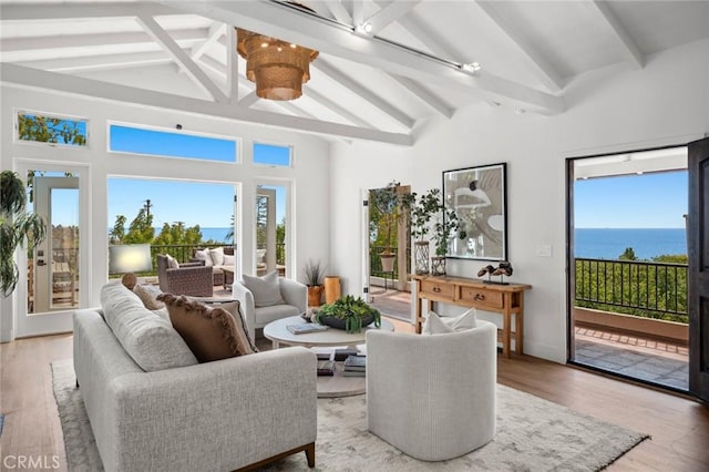 living room featuring beamed ceiling, wood finished floors, and a wealth of natural light