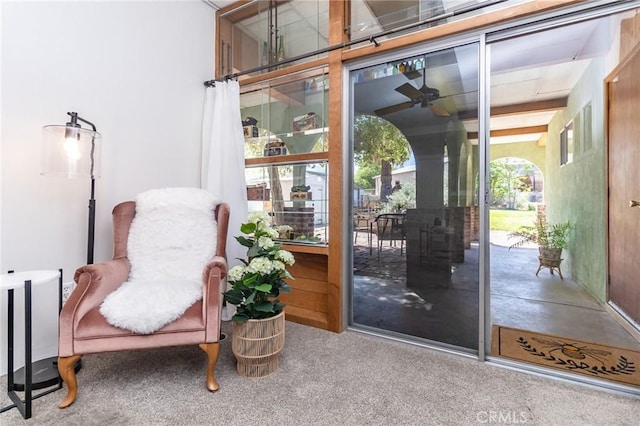 doorway featuring carpet flooring and a ceiling fan