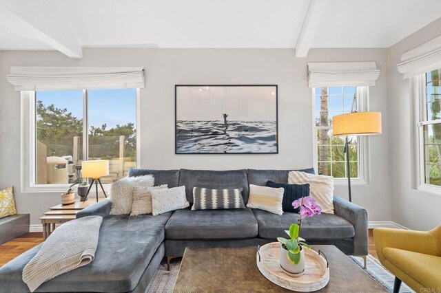 1024 Cottage Way, Encinitas, CA 92024 - living room featuring wood finished floors, beamed ceiling, and baseboards