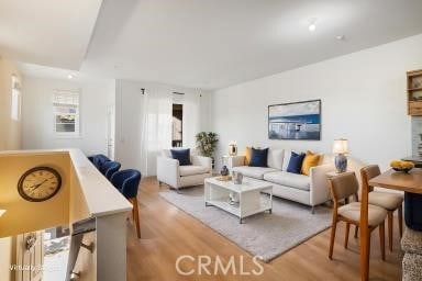 living area featuring wood finished floors