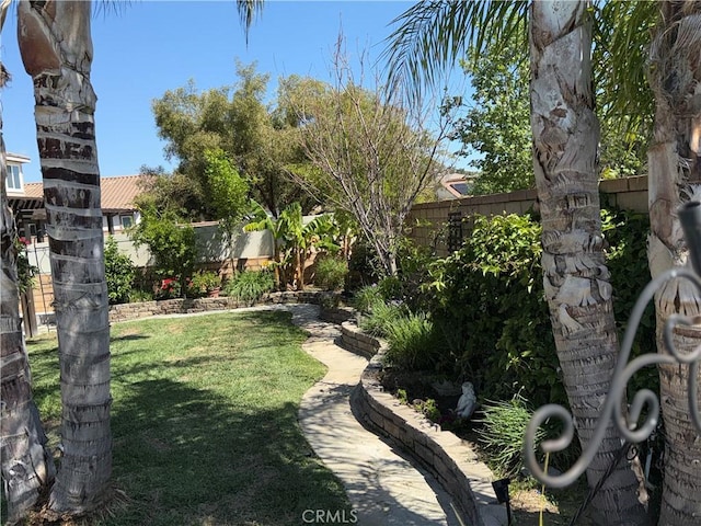 25279 Spur Branch Pl, Menifee, CA 92584 - view of yard