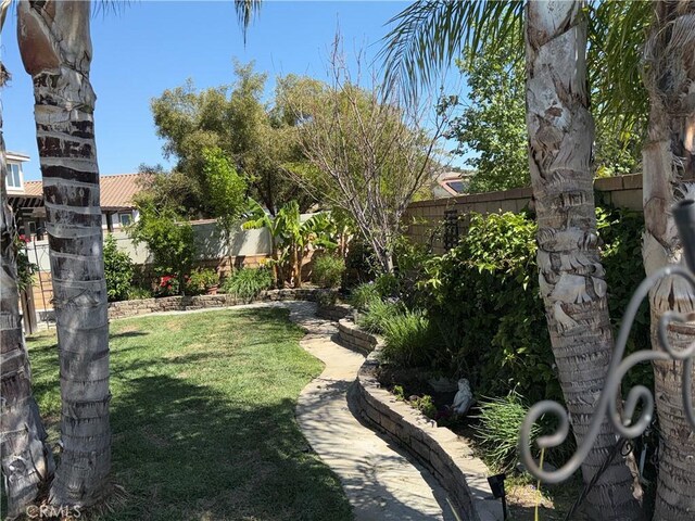 25279 Spur Branch Pl, Menifee, CA 92584 - view of yard