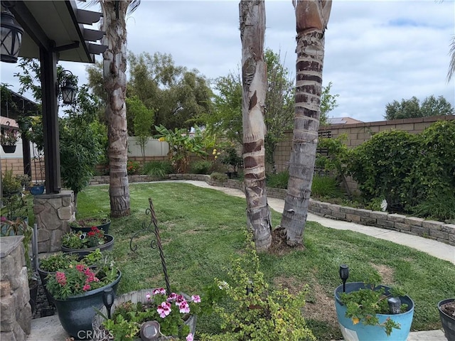 25279 Spur Branch Pl, Menifee, CA 92584 - view of yard