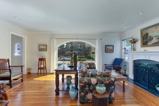 living area with baseboards, wood finished floors, and a fireplace with flush hearth