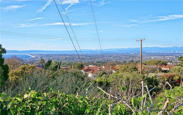 mountain view