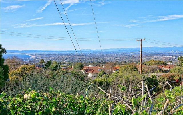 26235 Birchfield Ave, Rancho Palos Verdes, CA 90275 - view of mountain background