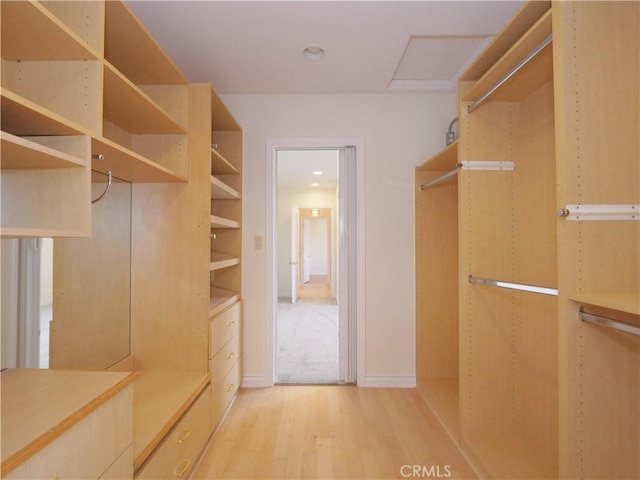 spacious closet featuring light wood-type flooring