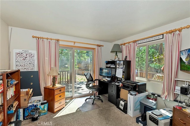 carpeted office space featuring a wealth of natural light