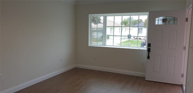 doorway to outside featuring a wealth of natural light, wood finished floors, and baseboards