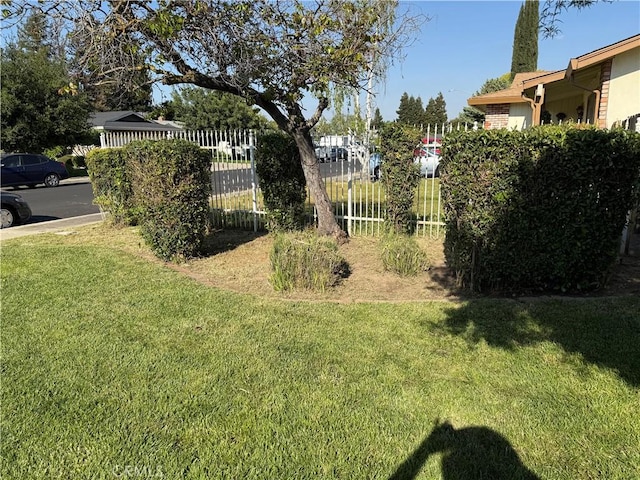 500 Sherri Way, Turlock, CA 95382 - view of yard