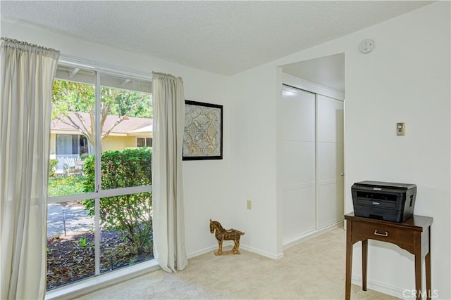 interior space with light colored carpet, baseboards, and a textured ceiling