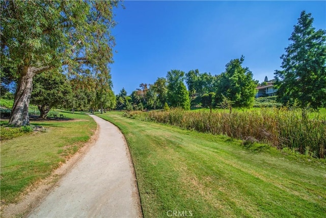 view of property's community featuring a lawn