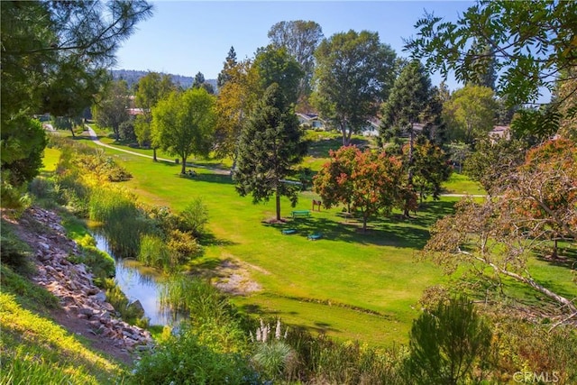 view of home's community featuring a yard