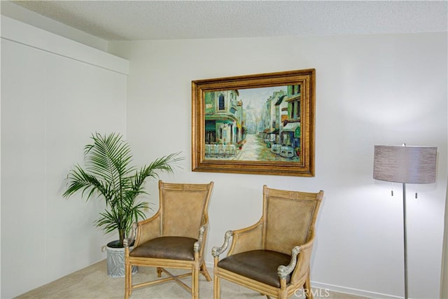 sitting room featuring carpet and a textured ceiling