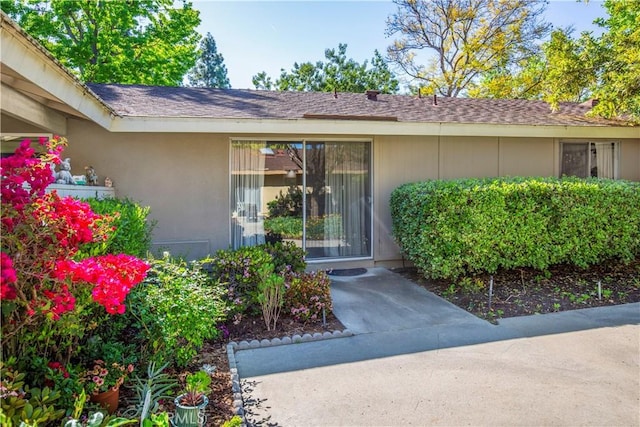 view of exterior entry with stucco siding