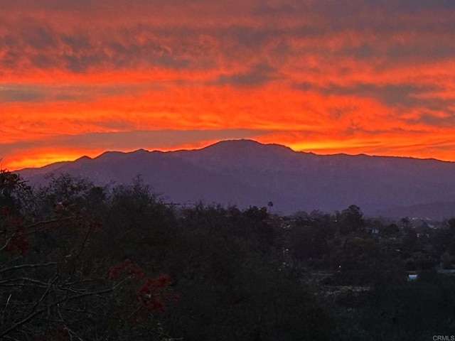 mountain view