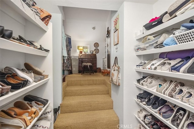 11 New Chardon, Laguna Niguel, CA 92677 - spacious closet with carpet flooring