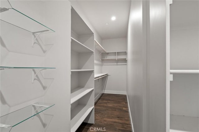 walk in closet with dark wood-style floors