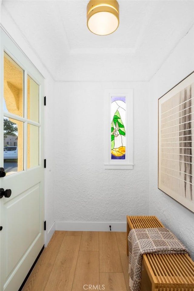 interior space featuring a raised ceiling, light wood-style flooring, baseboards, and a healthy amount of sunlight