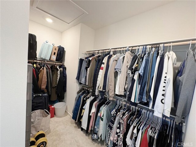walk in closet featuring attic access and carpet