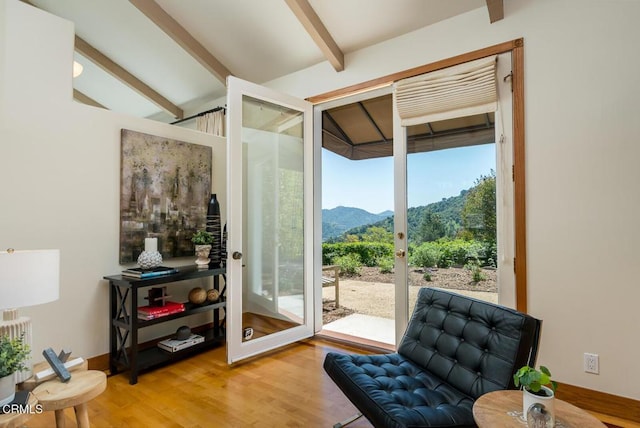 doorway featuring a mountain view and light wood-style flooring