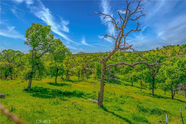 view of landscape