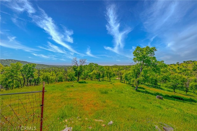 view of yard with a forest view and a rural view