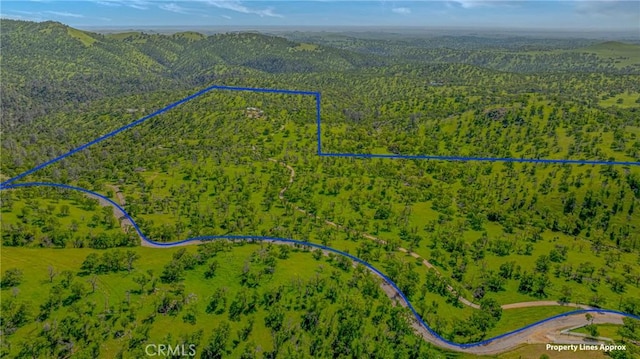 birds eye view of property with a wooded view