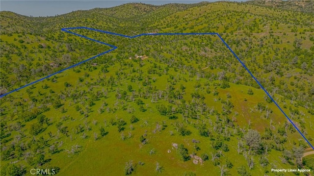 drone / aerial view featuring a mountain view