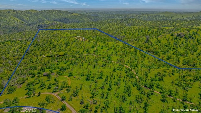 drone / aerial view featuring a view of trees