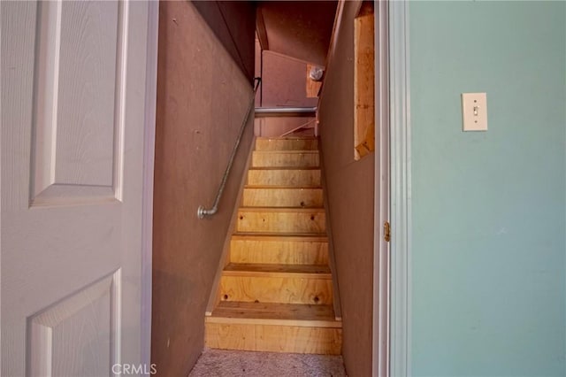 stairway featuring carpet floors