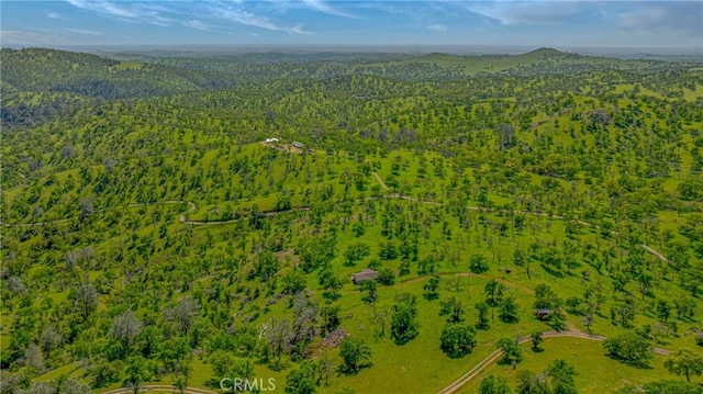 aerial view featuring a mountain view and a view of trees