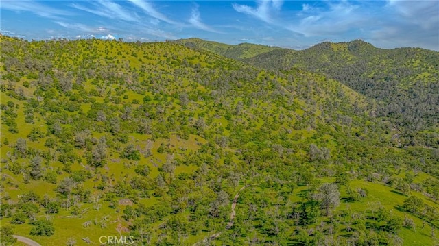 mountain view featuring a wooded view