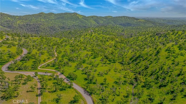 bird's eye view featuring a wooded view and a mountain view