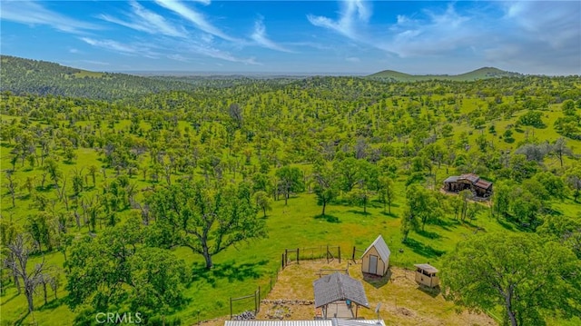bird's eye view with a forest view and a mountain view