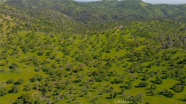 view of mountain feature