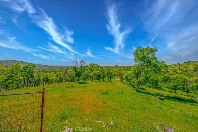 view of yard featuring a view of trees and a rural view