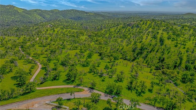 bird's eye view featuring a forest view and a mountain view