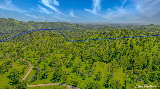 aerial view featuring a forest view and a mountain view