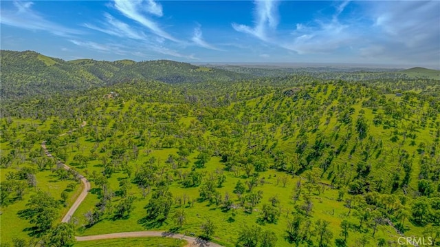 drone / aerial view with a forest view and a mountain view