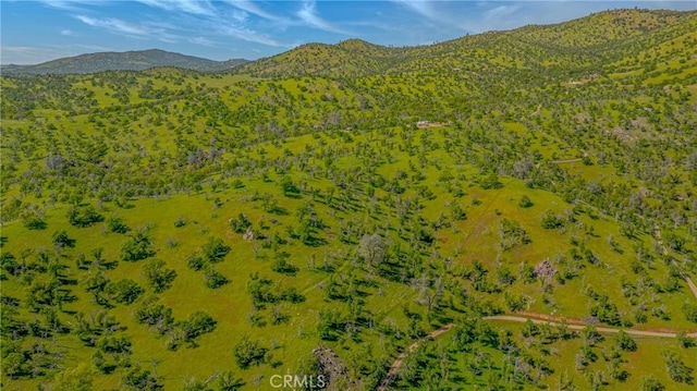 birds eye view of property featuring a mountain view