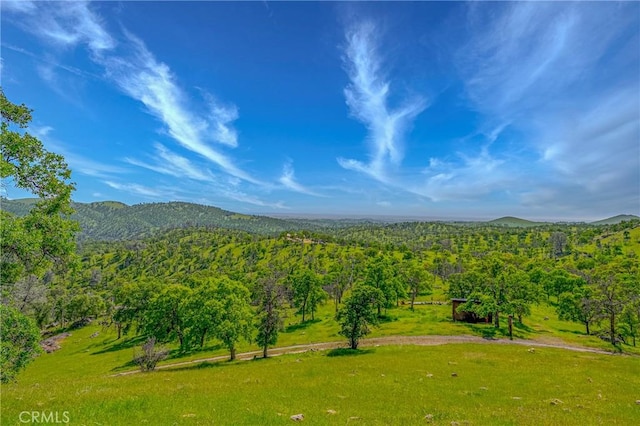 surrounding community featuring a forest view, a mountain view, and a lawn