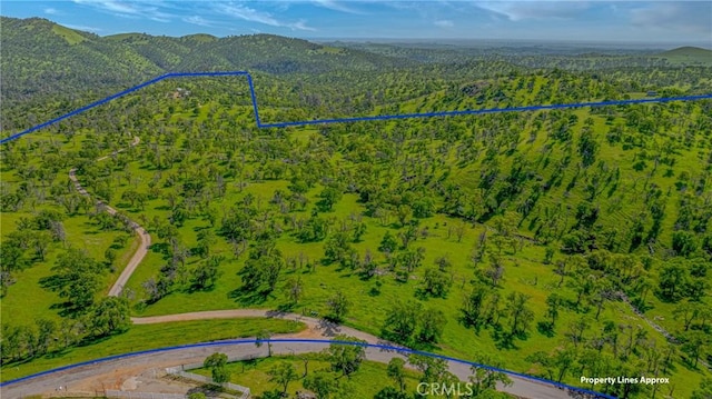 birds eye view of property with a mountain view and a forest view