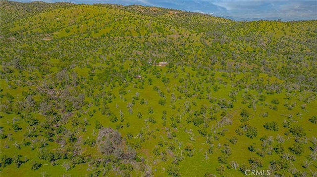 bird's eye view featuring a mountain view
