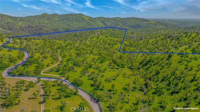 drone / aerial view with a forest view and a mountain view