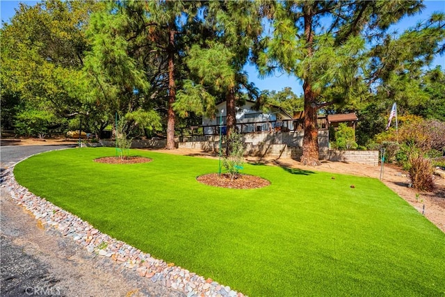 view of yard