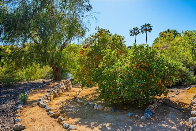 view of nature