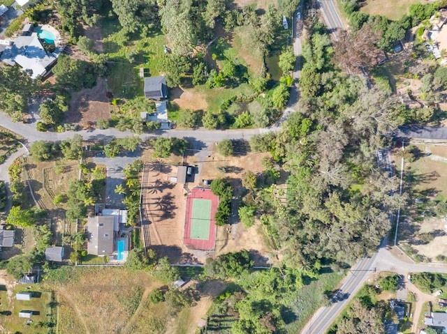 bird's eye view