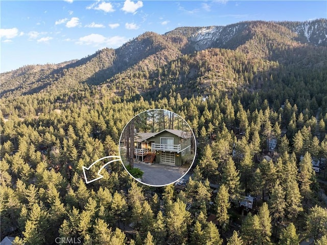 1130 Robin Rd, Wrightwood, CA 92397 - photo 30