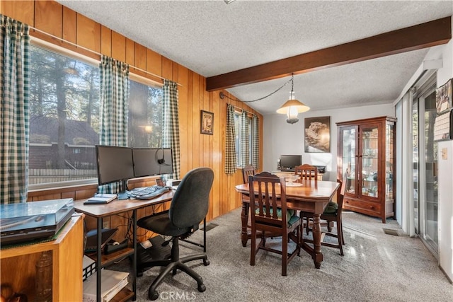 1130 Robin Rd, Wrightwood, CA 92397 - photo 10